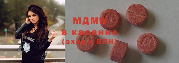 стаф Алзамай