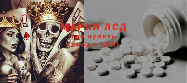 стаф Алзамай